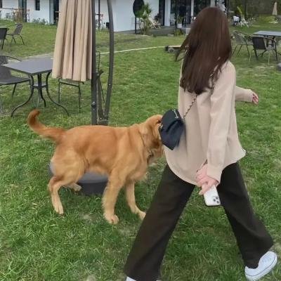 法律与秩序（纪录片）